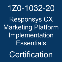 1Z0-1032-20 Exam to Rise & Shine as Oracle Responsys CX Marketing Sns-Brigh10