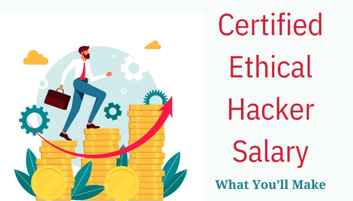 Certified Ethical Hacker Salary Trends A Comprehensive Analysis